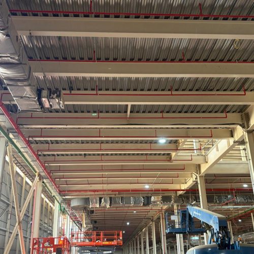 WhatsApp Image 2025-10-31 at 11.50.16 PM